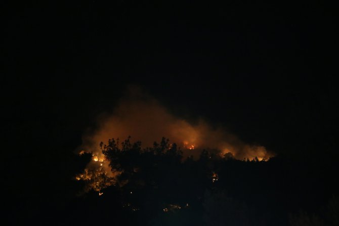 Çanakkale'deki orman yangınına müdahale ediliyor