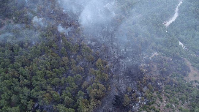 GÜNCELLEME 2 - Çanakkale'deki orman yangınına müdahale ediliyor
