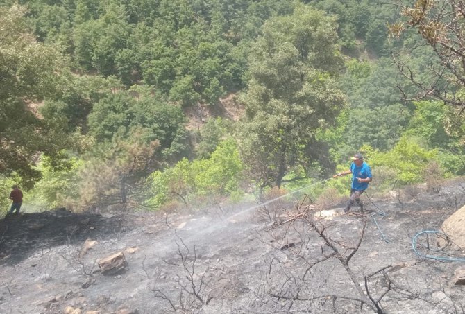 GÜNCELLEME - Manisa'nın Alaşehir ilçesindeki orman yangını kontrol altına alındı