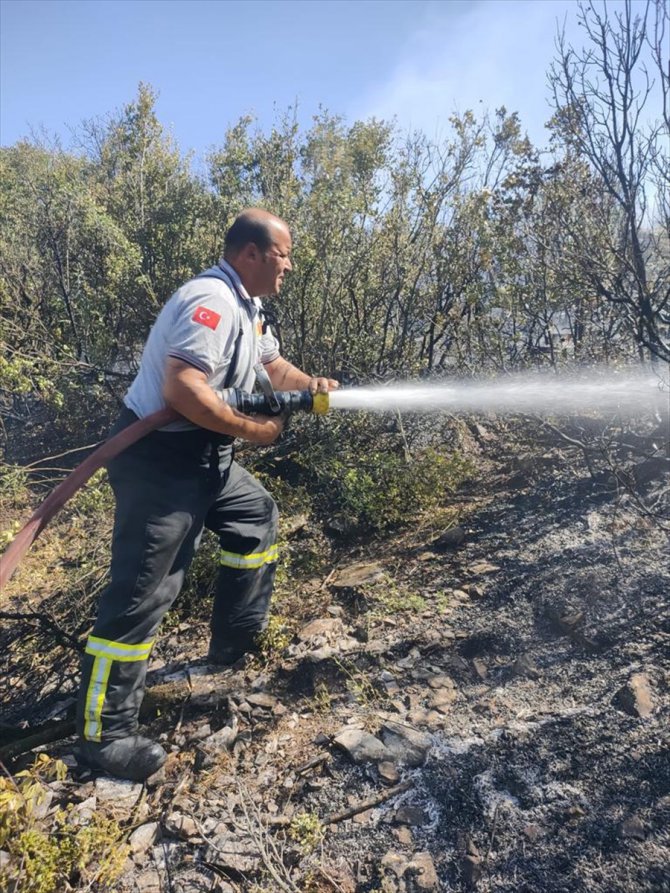 GÜNCELLEME - Burdur'da hububat tarlasında çıkan ve ormana sıçrayan yangın kontrol altına alındı