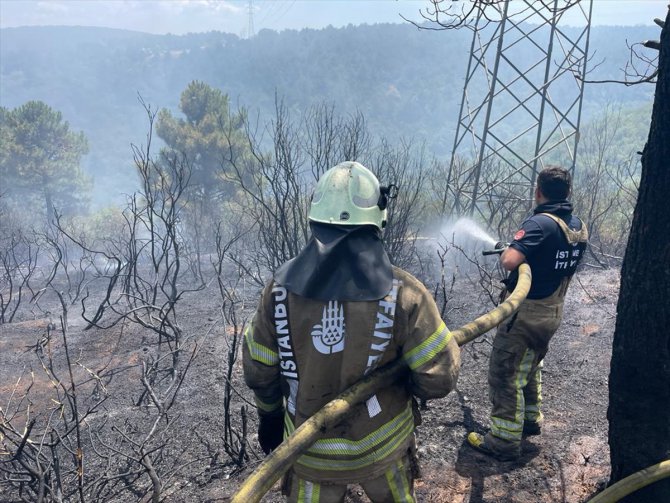 GÜNCELLEME - Sultangazi'de ormanlık alanda yangın çıktı