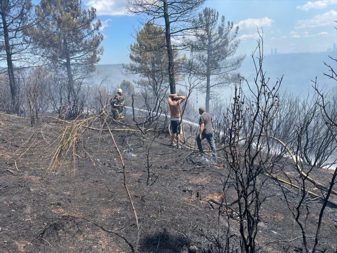 GÜNCELLEME - Sultangazi'de ormanlık alanda yangın çıktı