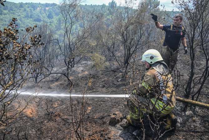 GÜNCELLEME 2 - Sultangazi'de ormanlık alanda çıkan yangın kontrol altına alındı